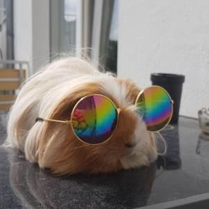 Meet your Posher, Angela